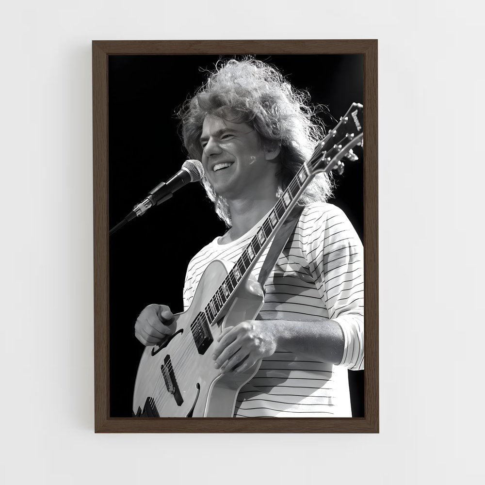 ap-pat metheny-1 cadre Bois foncé