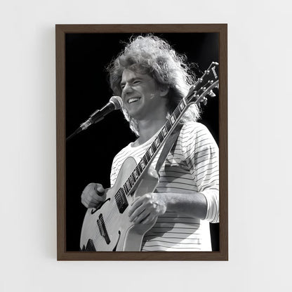 ap-pat metheny-1 cadre Bois foncé