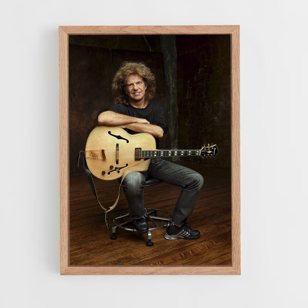 ap-pat metheny-3 cadre Bois clair
