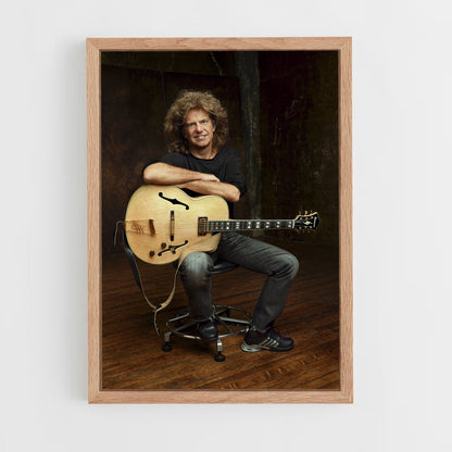 ap-pat metheny-3 cadre Bois clair