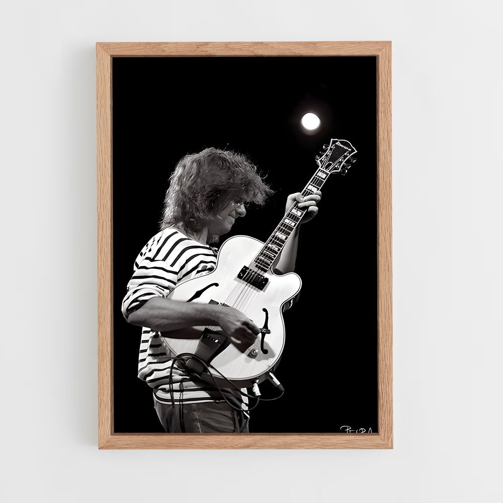 ap-pat metheny-4 cadre Bois clair