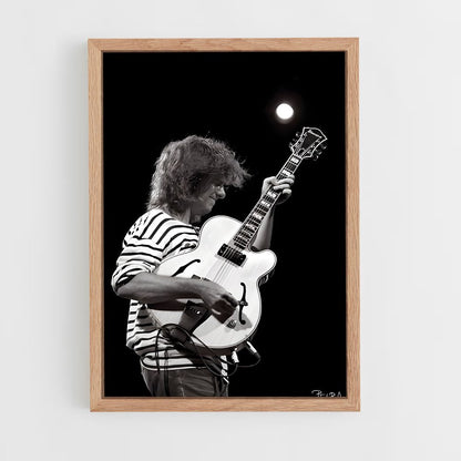ap-pat metheny-4 cadre Bois clair