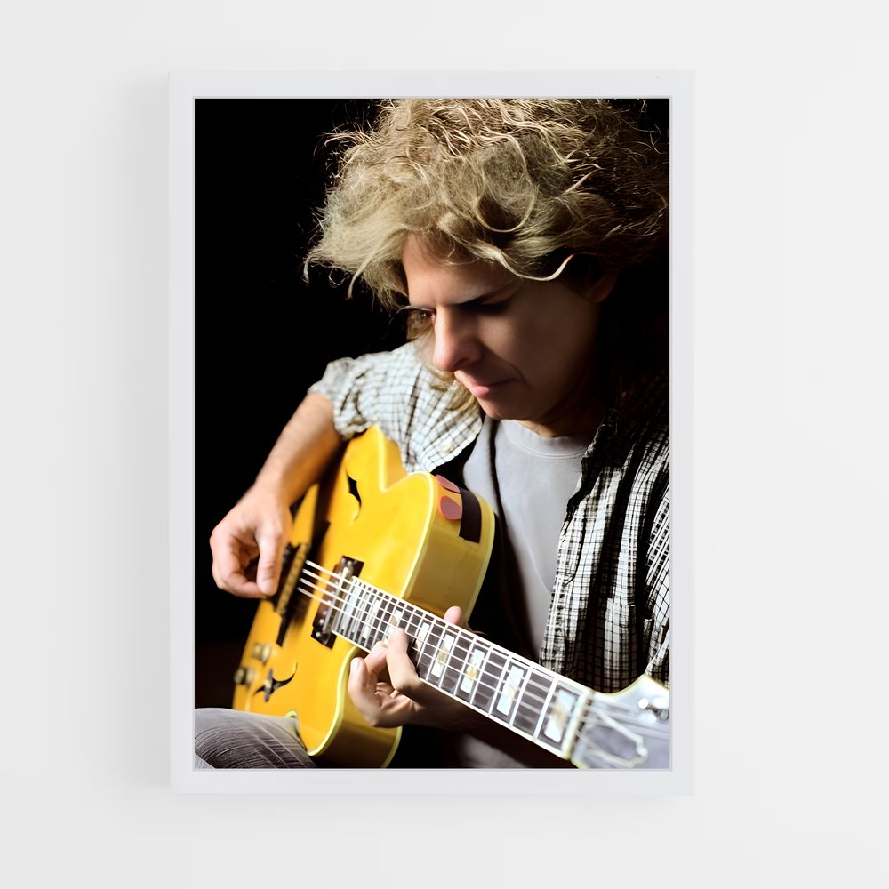 ap-pat metheny-5 cadre Blanc