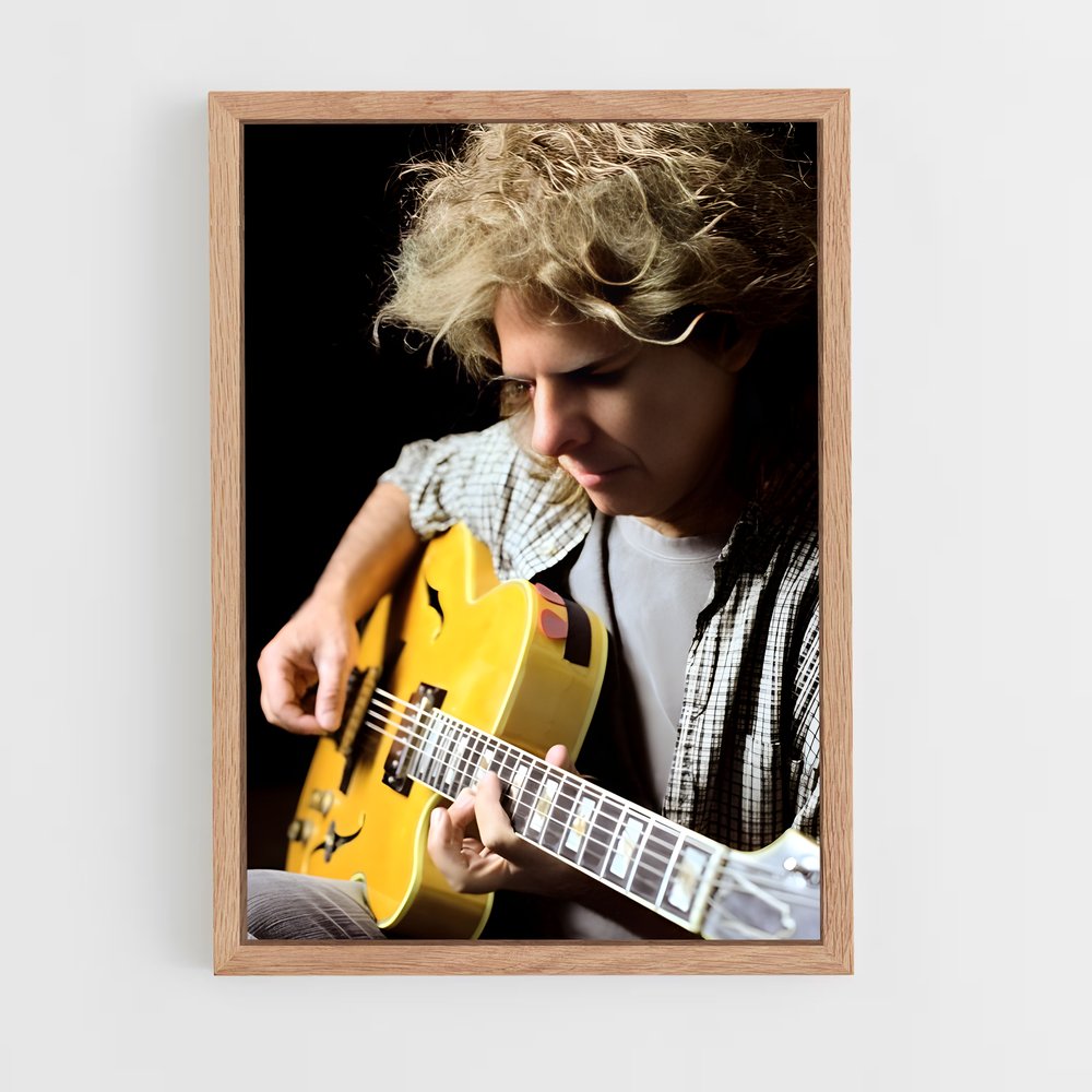 ap-pat metheny-5 cadre Bois clair