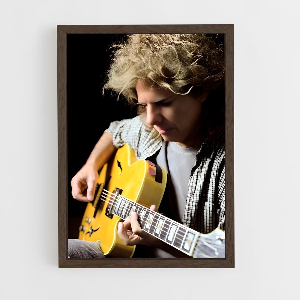 ap-pat metheny-5 cadre Bois foncé