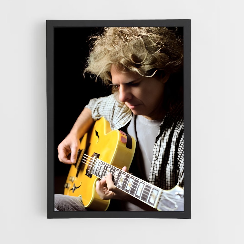 ap-pat metheny-5 cadre Noir