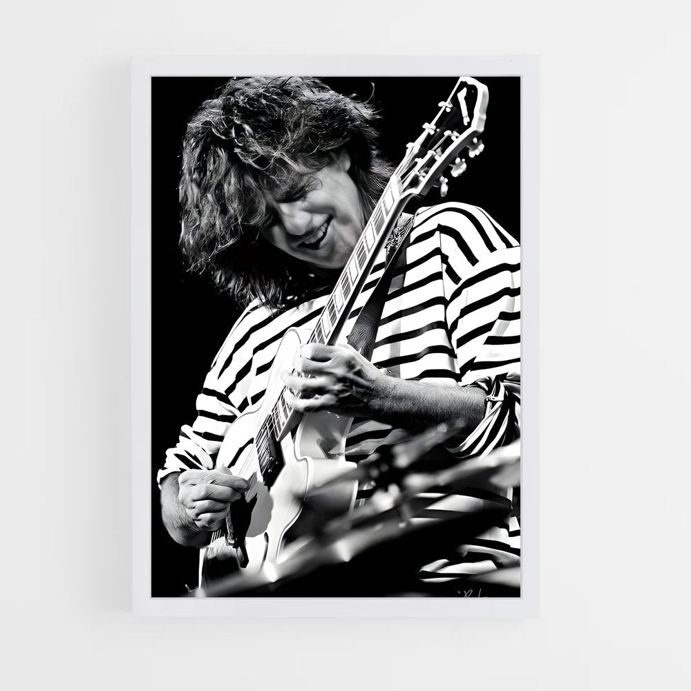 ap-pat metheny-6 cadre Blanc
