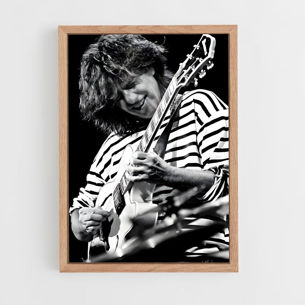 ap-pat metheny-6 cadre Bois clair