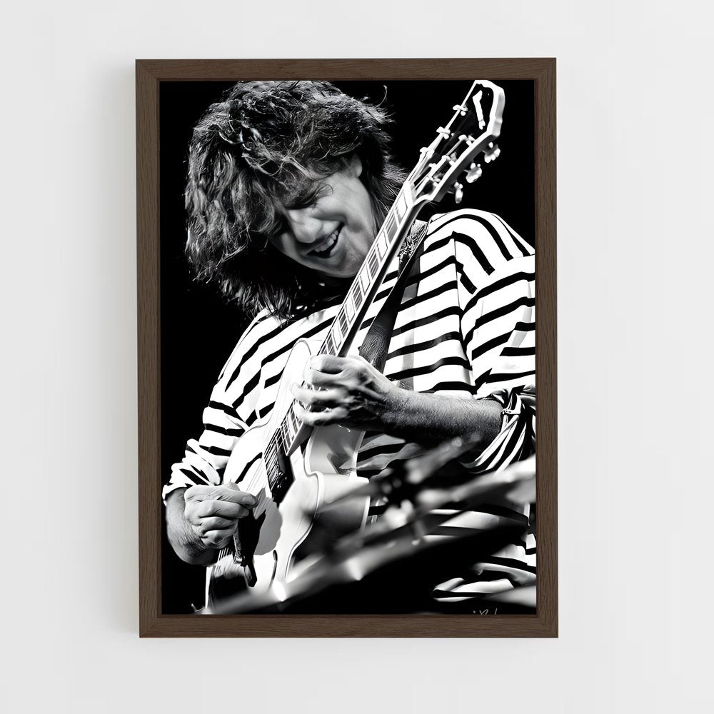 ap-pat metheny-6 cadre Bois foncé