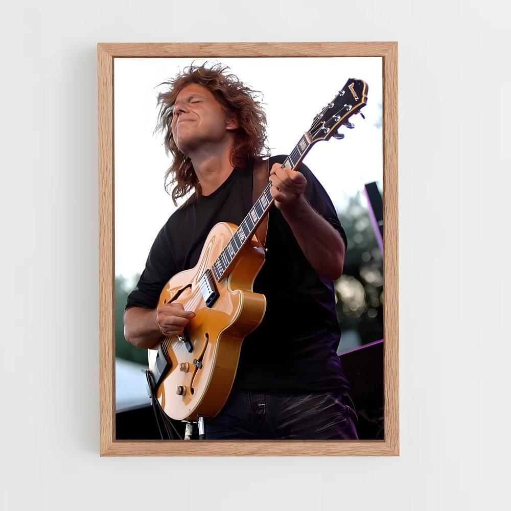 ap-pat metheny-8 cadre Bois clair