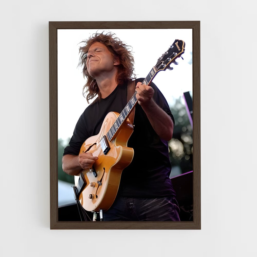 ap-pat metheny-8 cadre Bois foncé