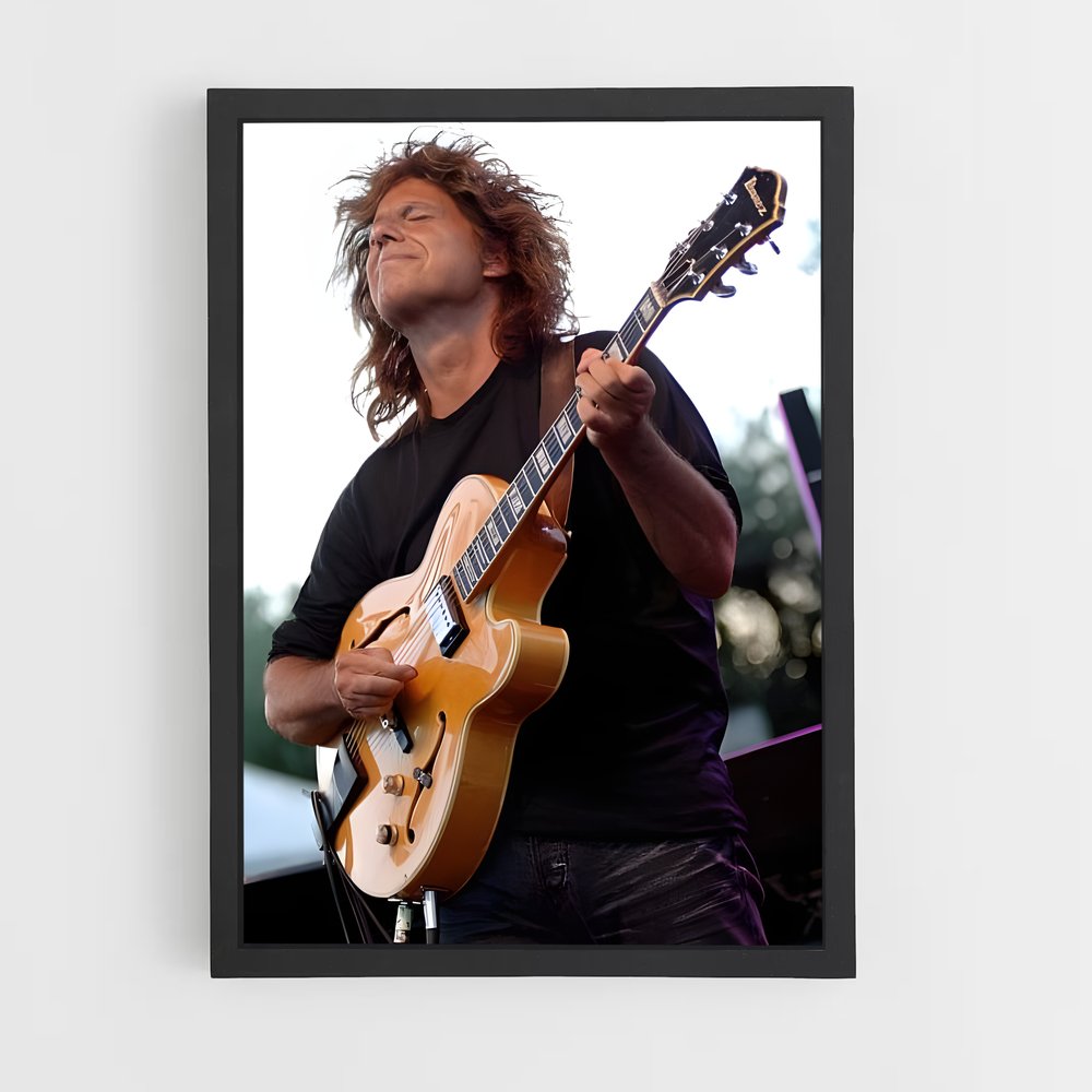 ap-pat metheny-8 cadre Noir