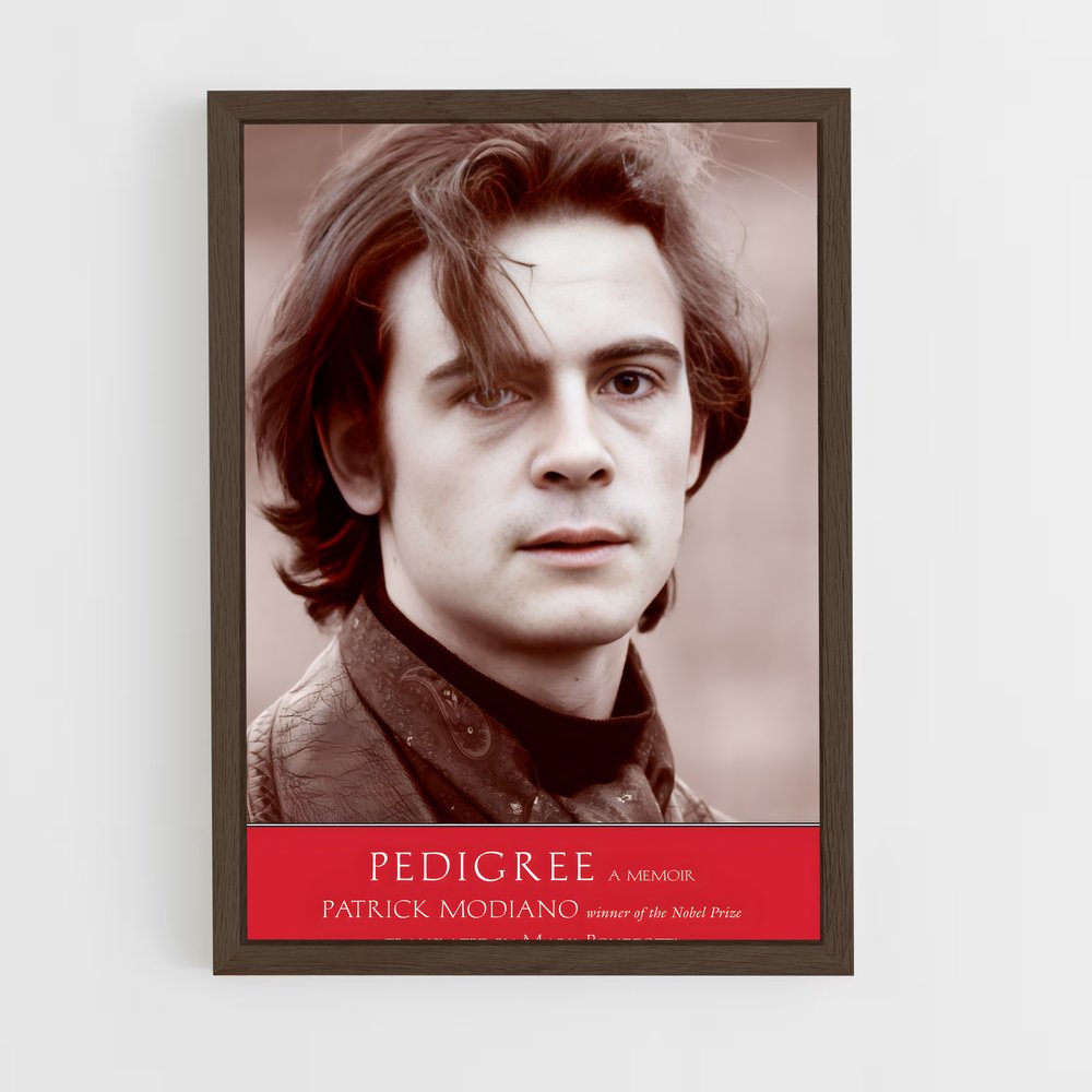 ap-patrick modiano-6 cadre Bois foncé
