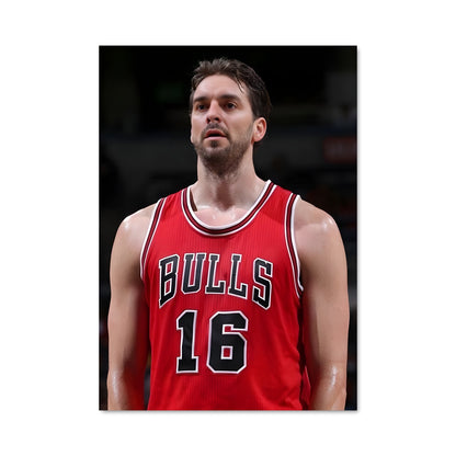Poster Pau gasol 60165