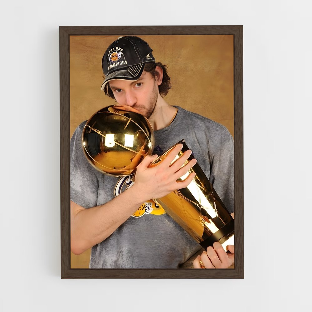 ap-pau gasol-10 cadre Bois foncé