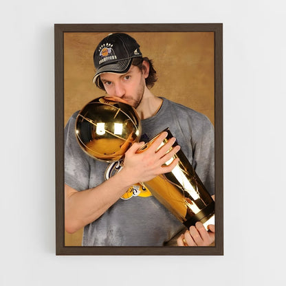 ap-pau gasol-10 cadre Bois foncé