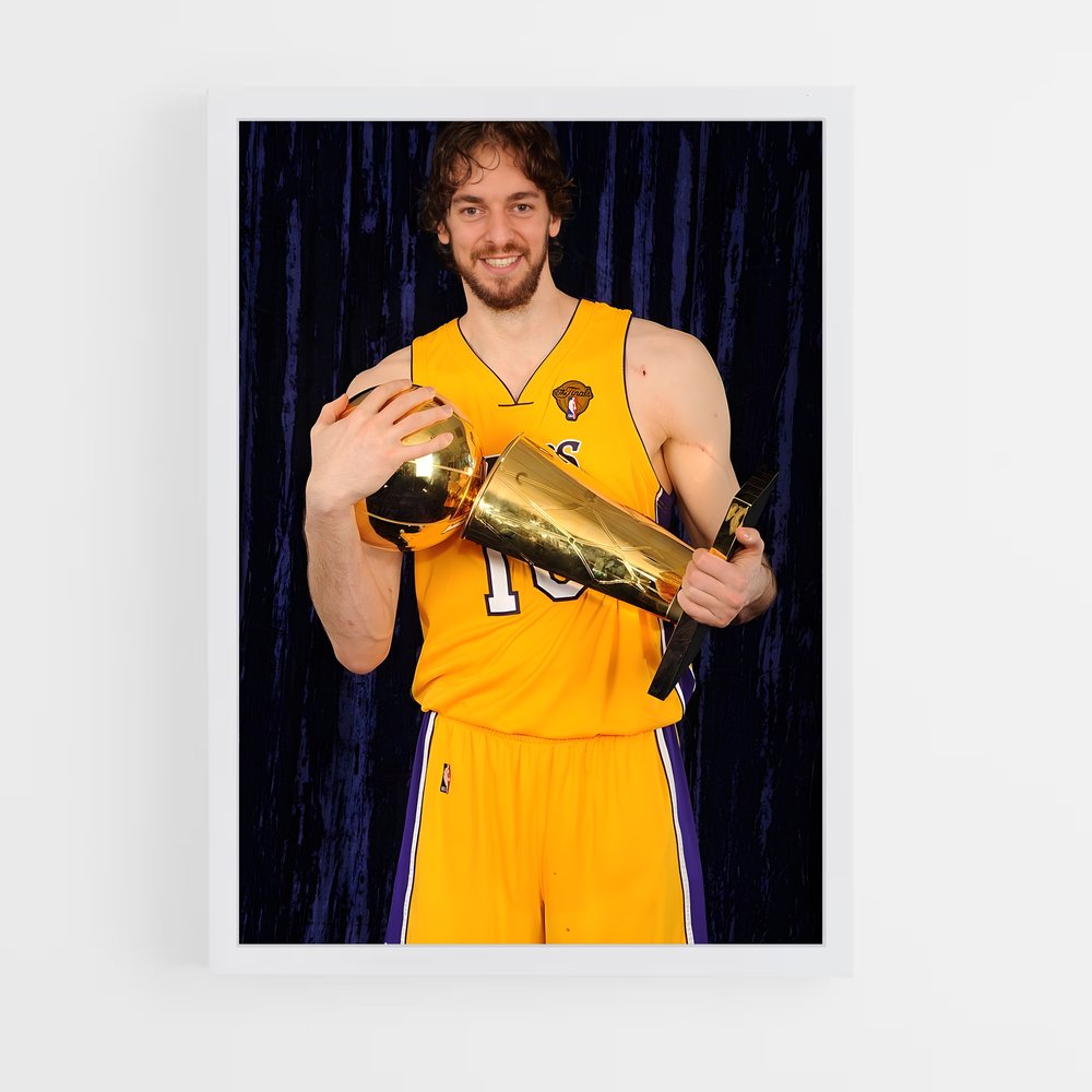 ap-pau gasol-2 cadre Blanc