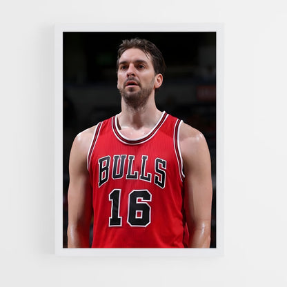 ap-pau gasol-6 cadre Blanc