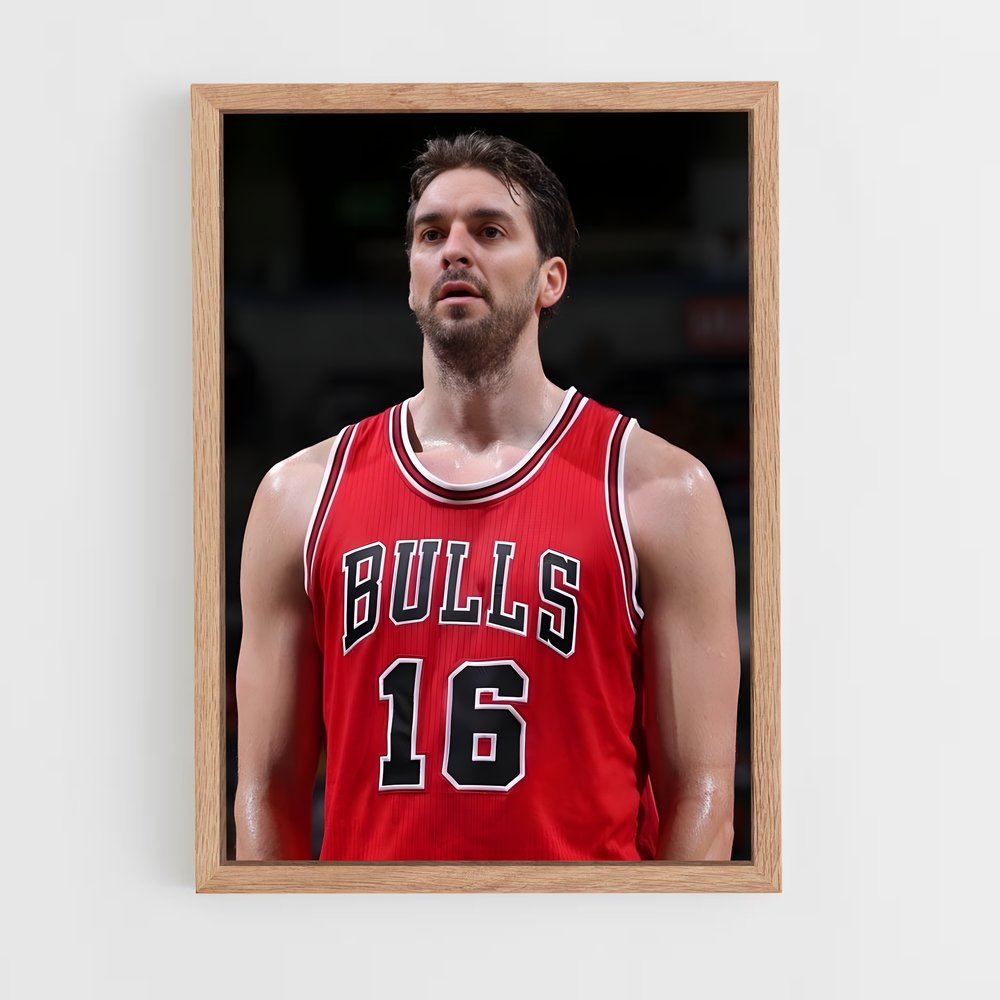 ap-pau gasol-6 cadre Bois clair