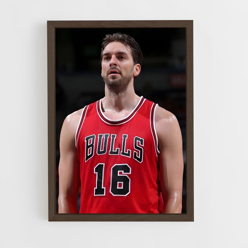 ap-pau gasol-6 cadre Bois foncé