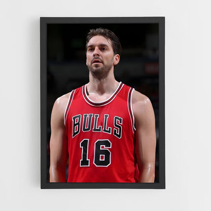 ap-pau gasol-6 cadre Noir