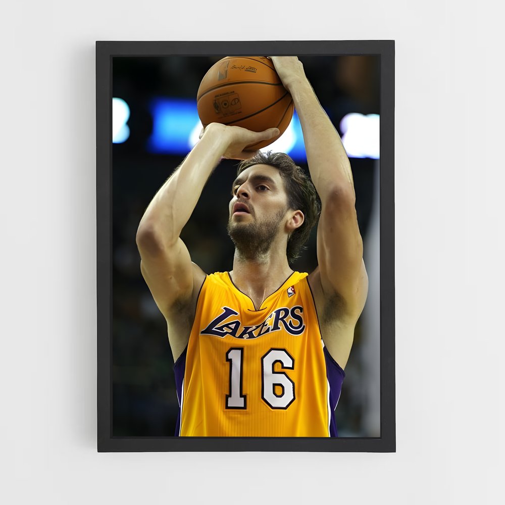 ap-pau gasol-7 cadre Noir