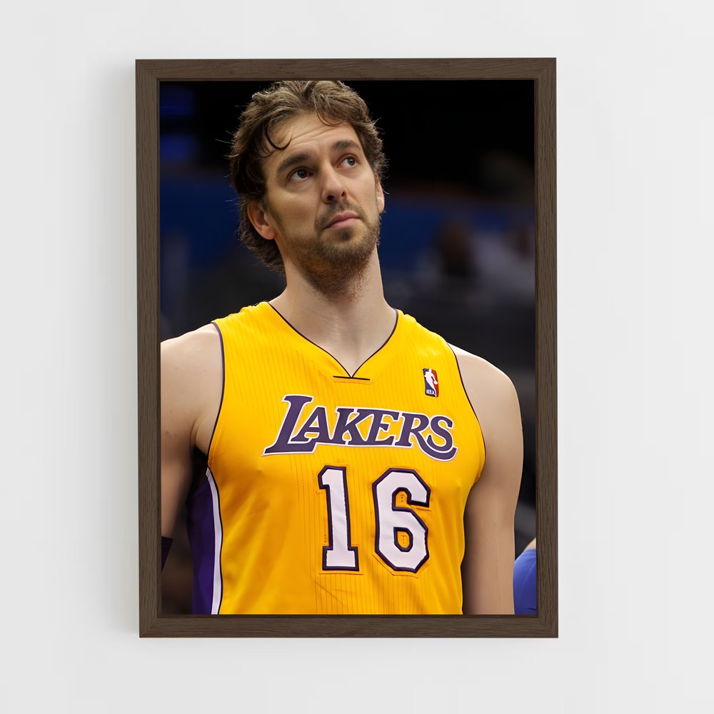 ap-pau gasol-8 cadre Bois foncé