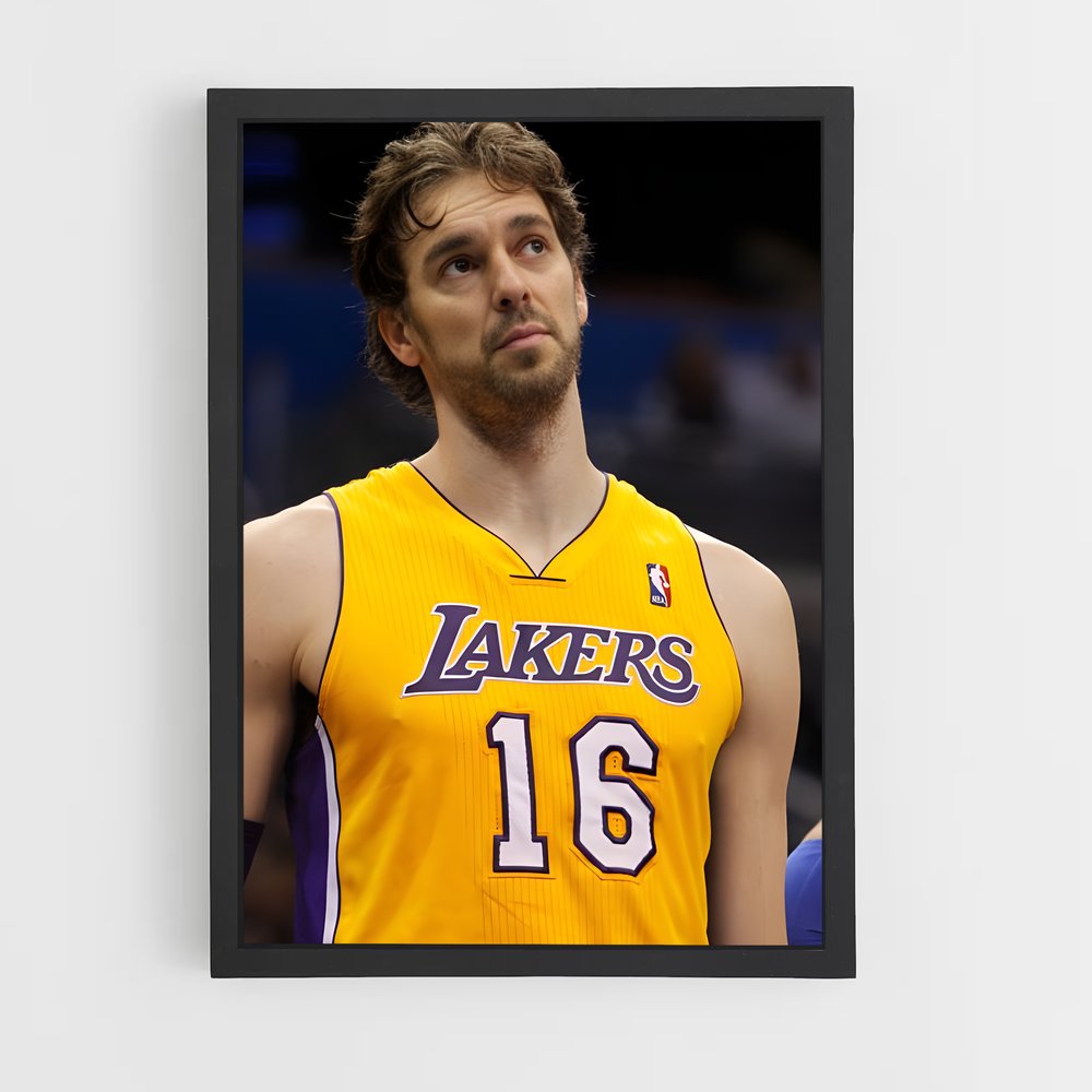 ap-pau gasol-8 cadre Noir