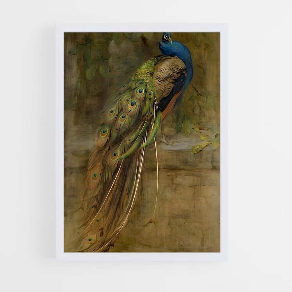 ap-peacock-6 cadre Blanc
