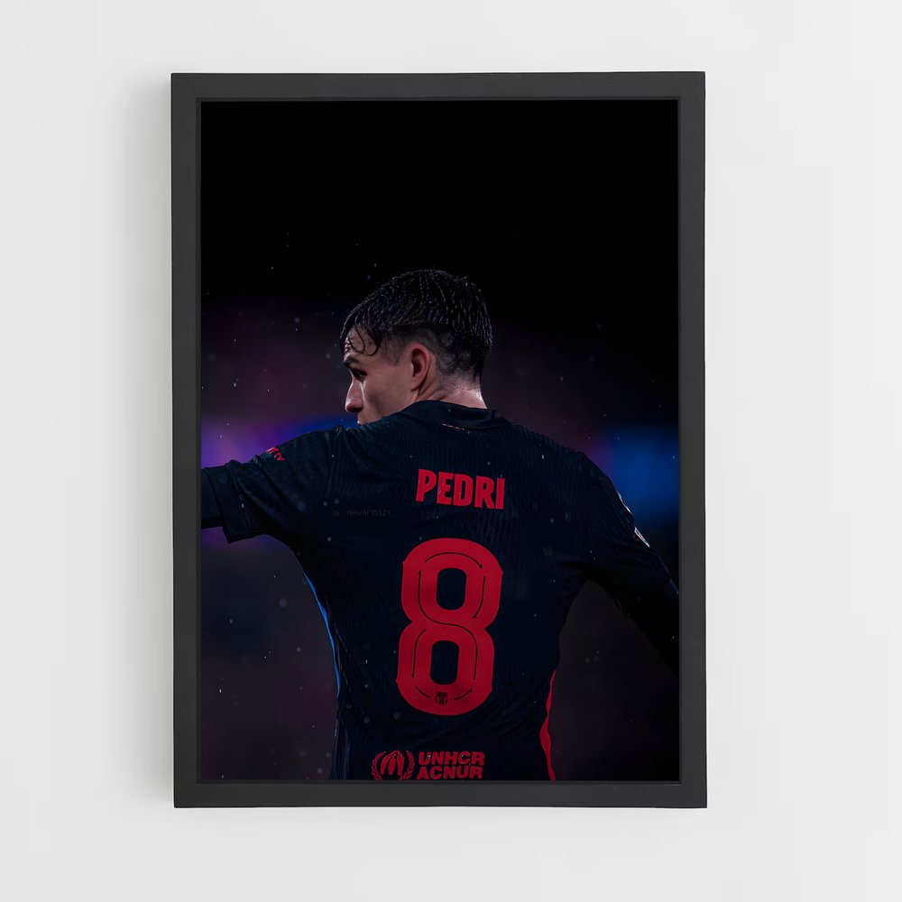 ap-pedri-12 cadre Noir