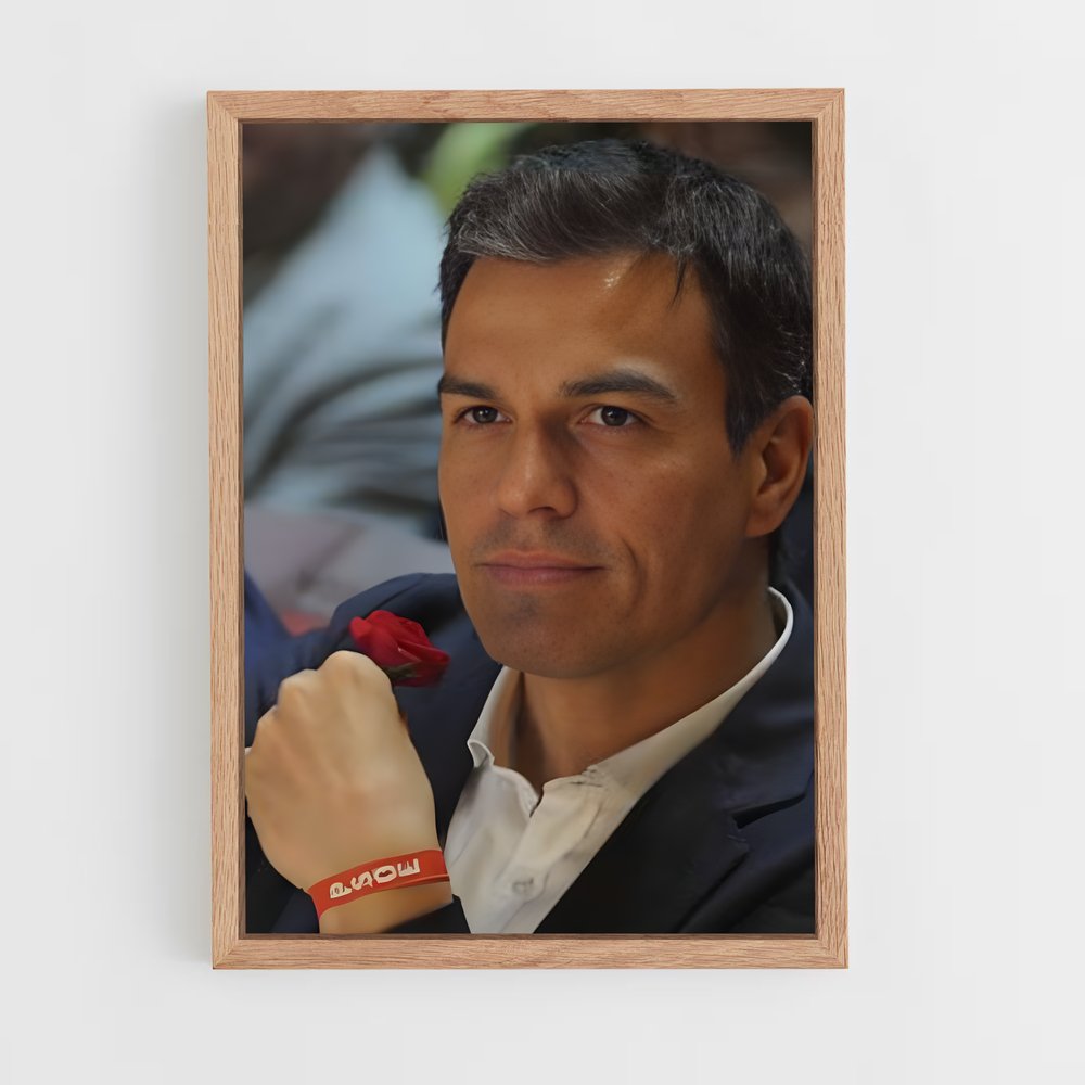 ap-pedro sanchez-2 cadre Bois clair