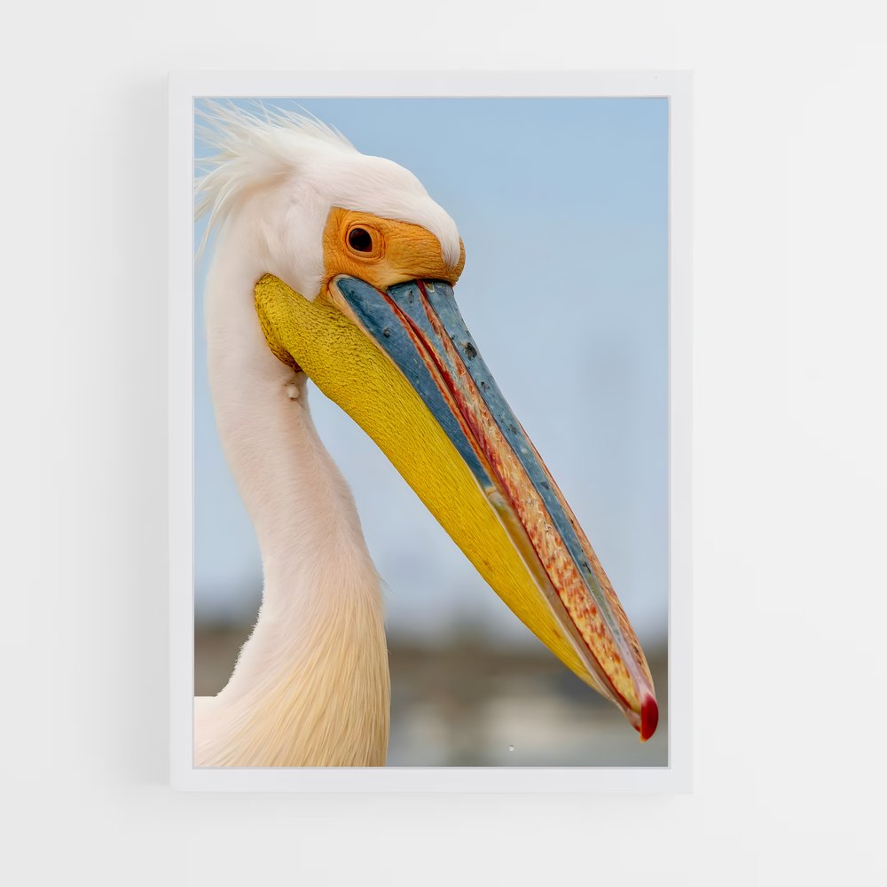 ap-pelican-5 cadre Blanc