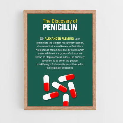 ap-penicillin discovery-1 cadre Bois clair