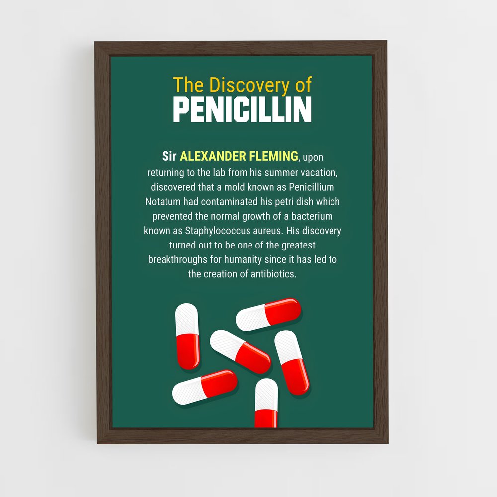 ap-penicillin discovery-1 cadre Bois foncé