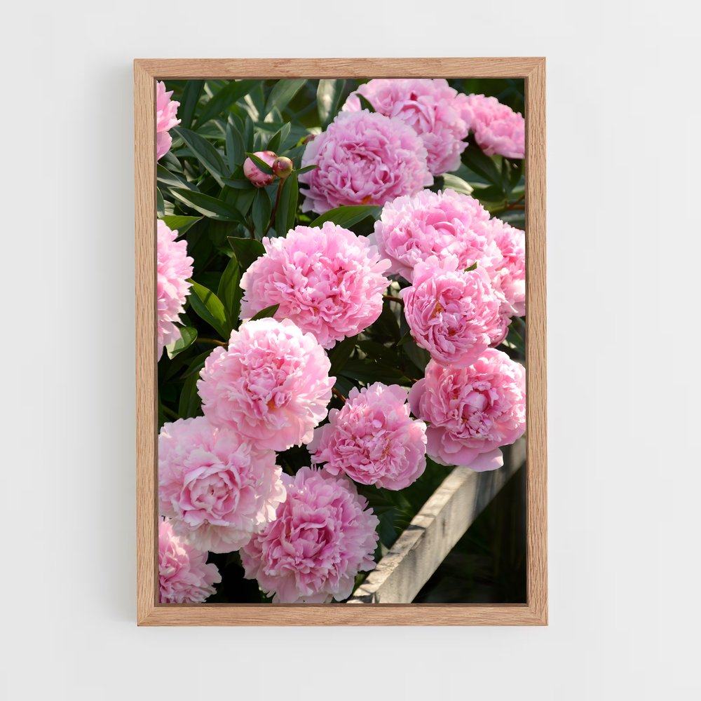 ap-peony-11 cadre Bois clair