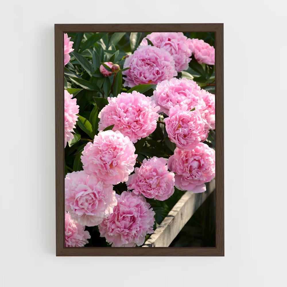 ap-peony-11 cadre Bois foncé