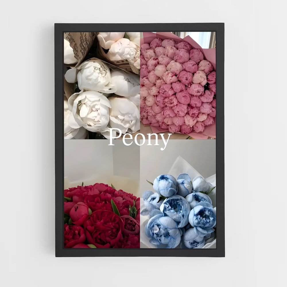 ap-peony-12 cadre Noir