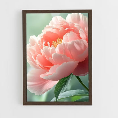 ap-peony-13 cadre Bois foncé
