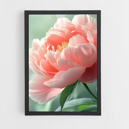 ap-peony-13 cadre Noir