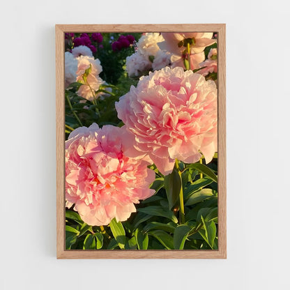 ap-peony-14 cadre Bois clair