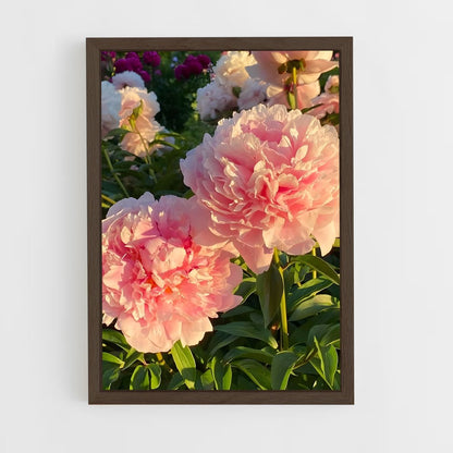 ap-peony-14 cadre Bois foncé