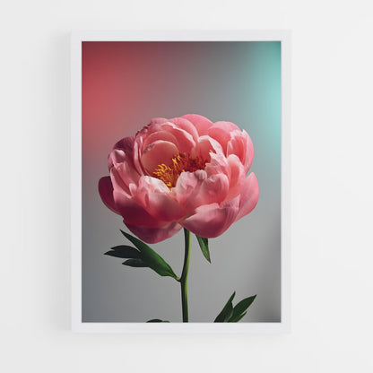 ap-peony-15 cadre Blanc