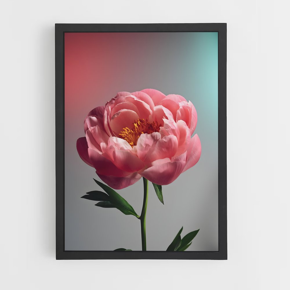 ap-peony-15 cadre Noir