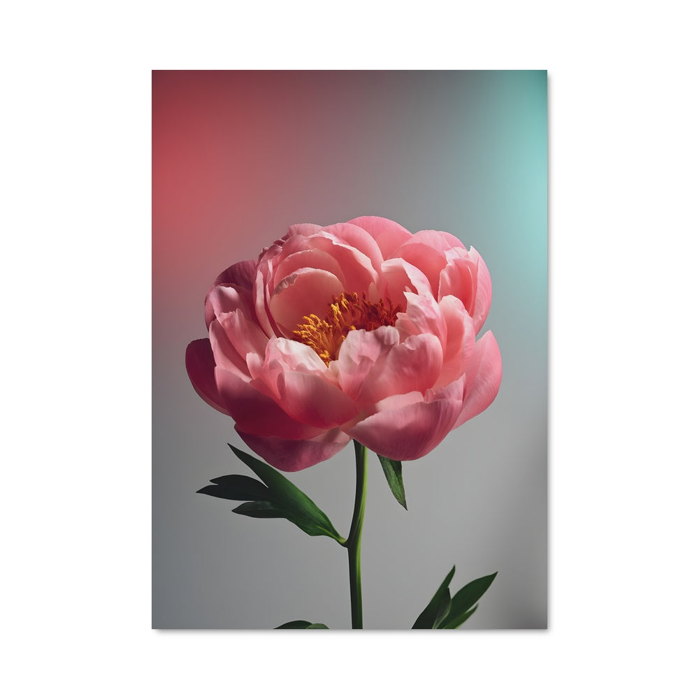 Poster Peony 96707
