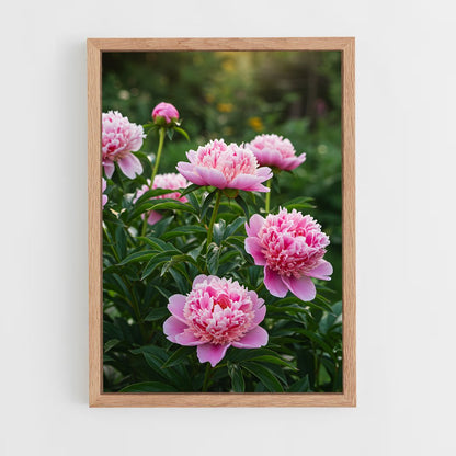 ap-peony-16 cadre Bois clair