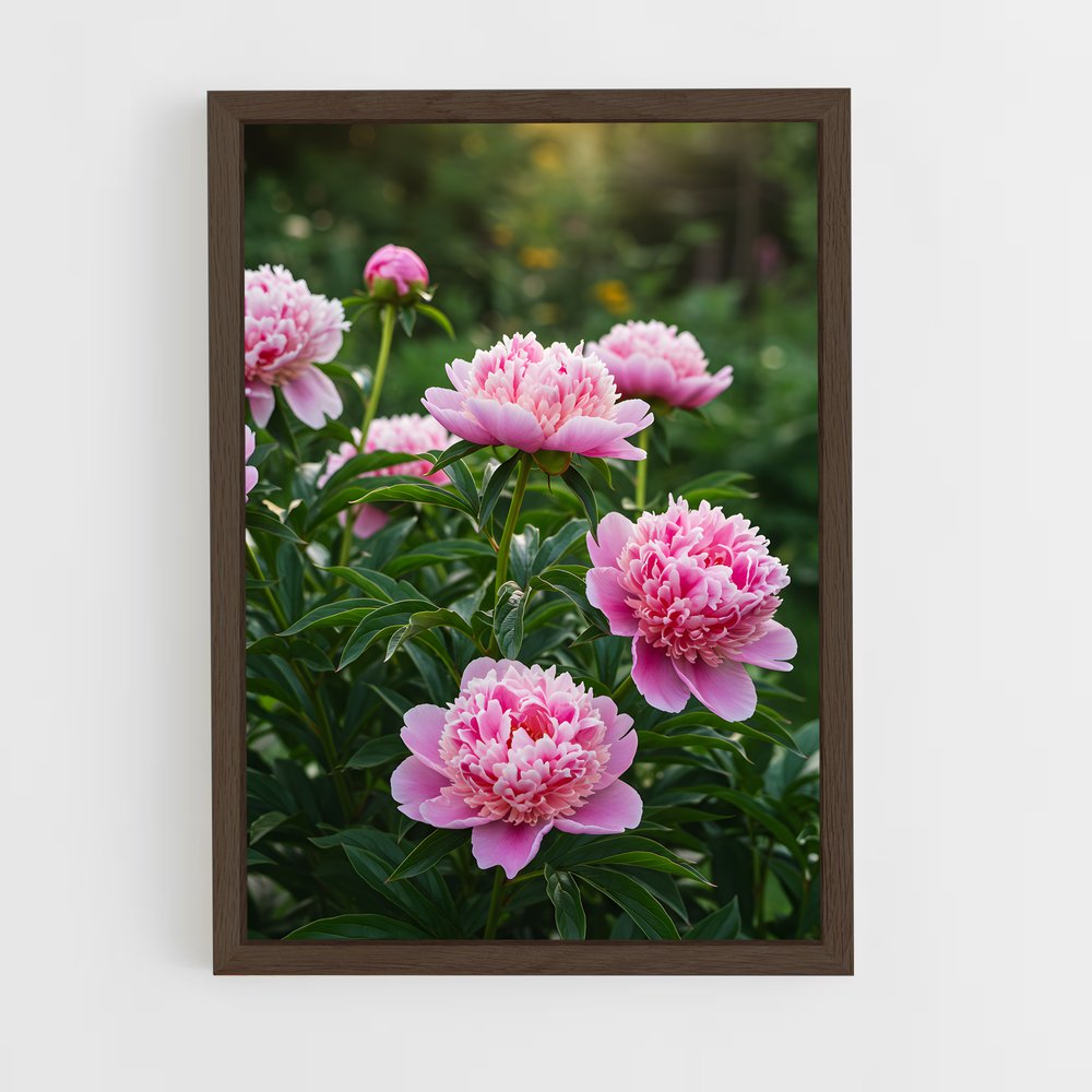 ap-peony-16 cadre Bois foncé
