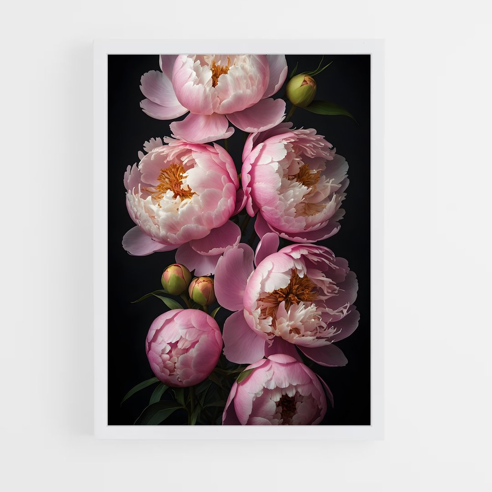 ap-peony-3 cadre Blanc