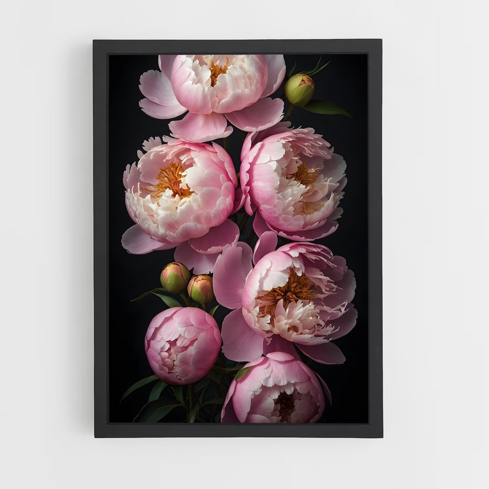 ap-peony-3 cadre Noir