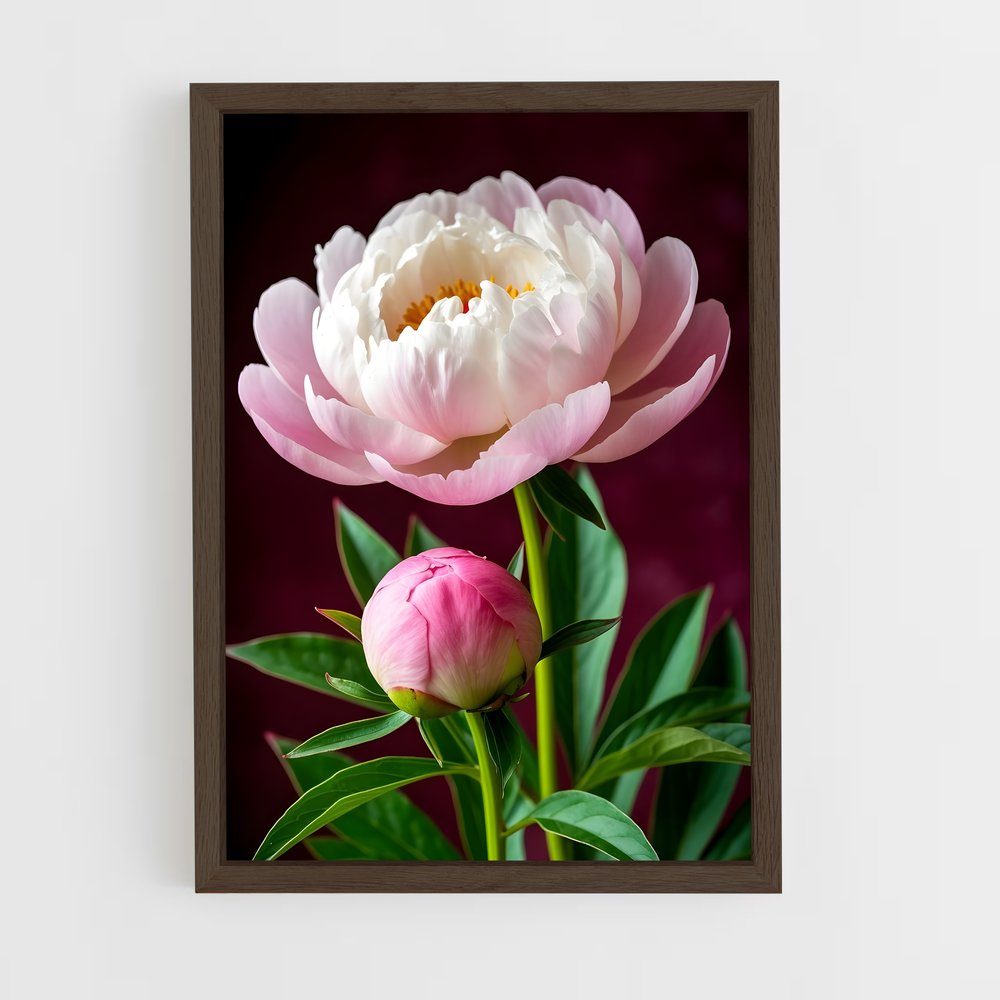 ap-peony-4 cadre Bois foncé