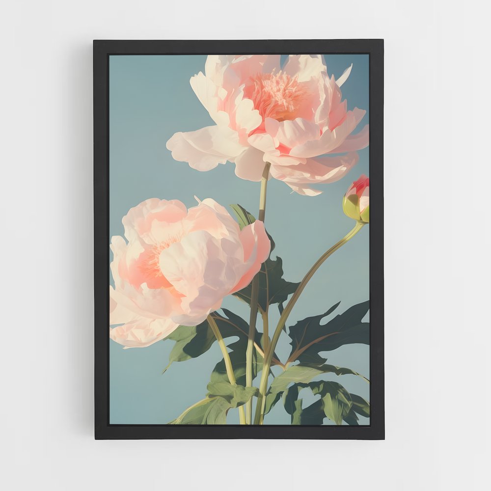 ap-peony-6 cadre Noir